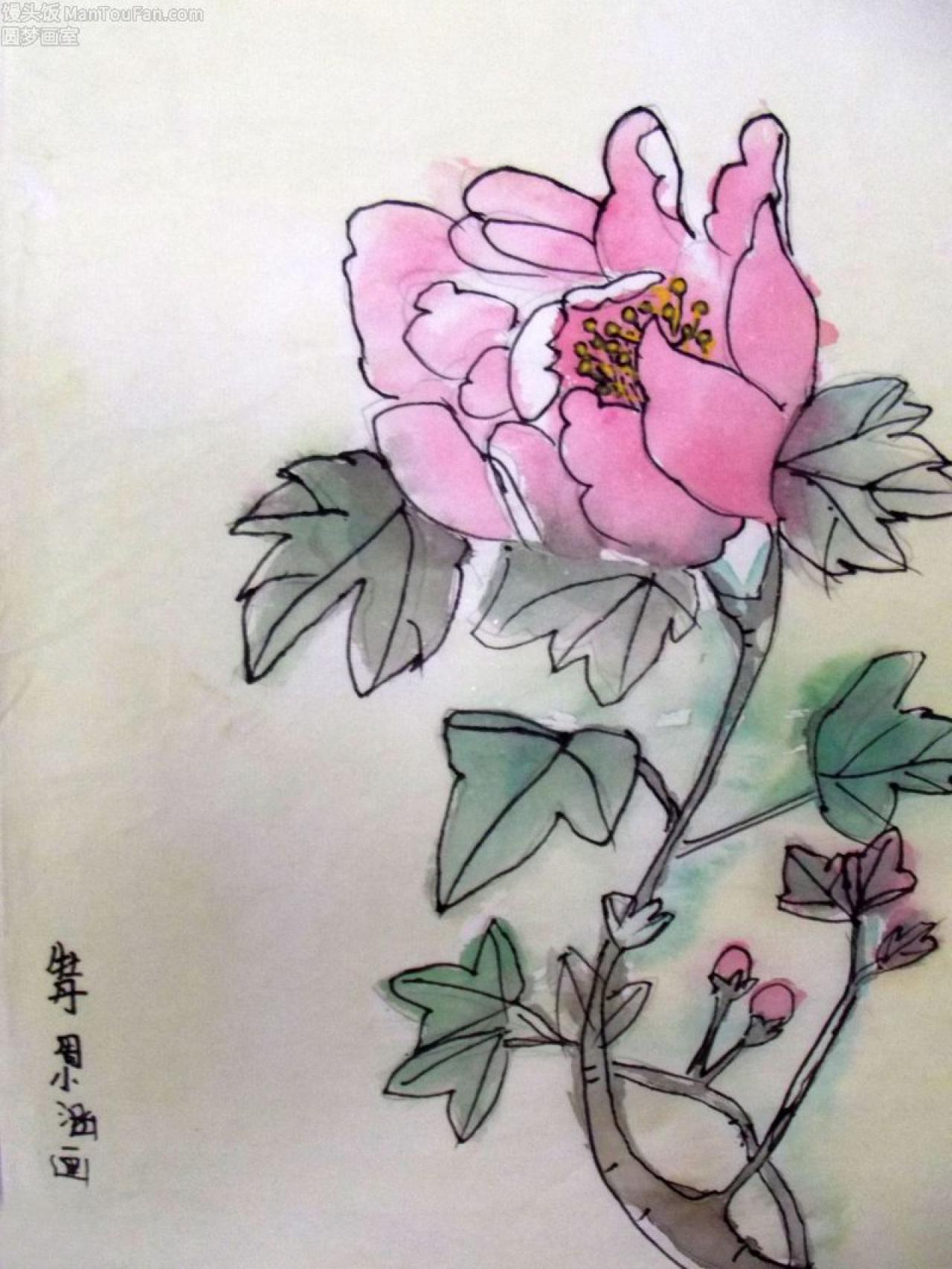 牡丹 工笔花鸟 周小涵画