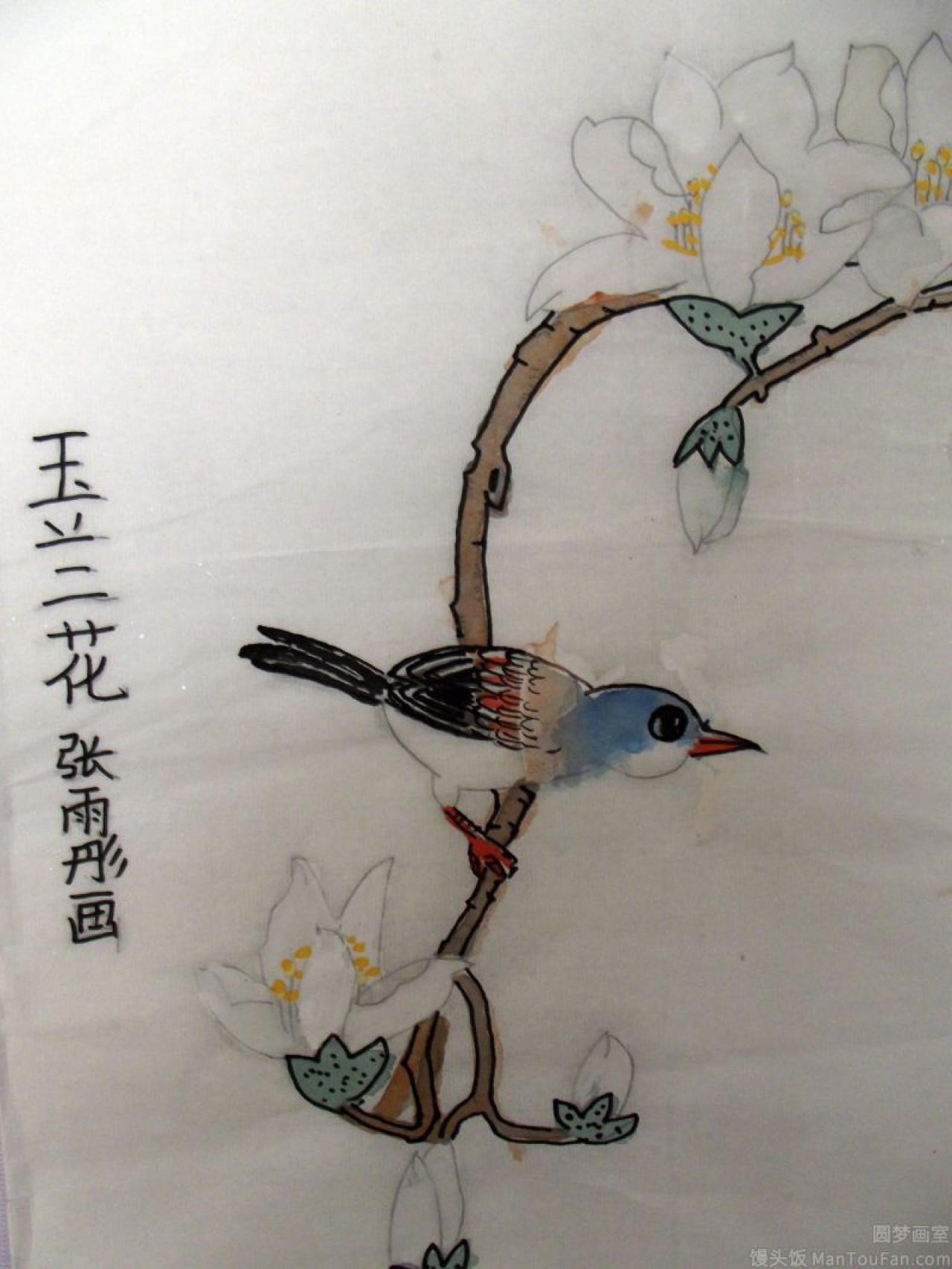 玉兰花 工笔花鸟 张雨彤画
