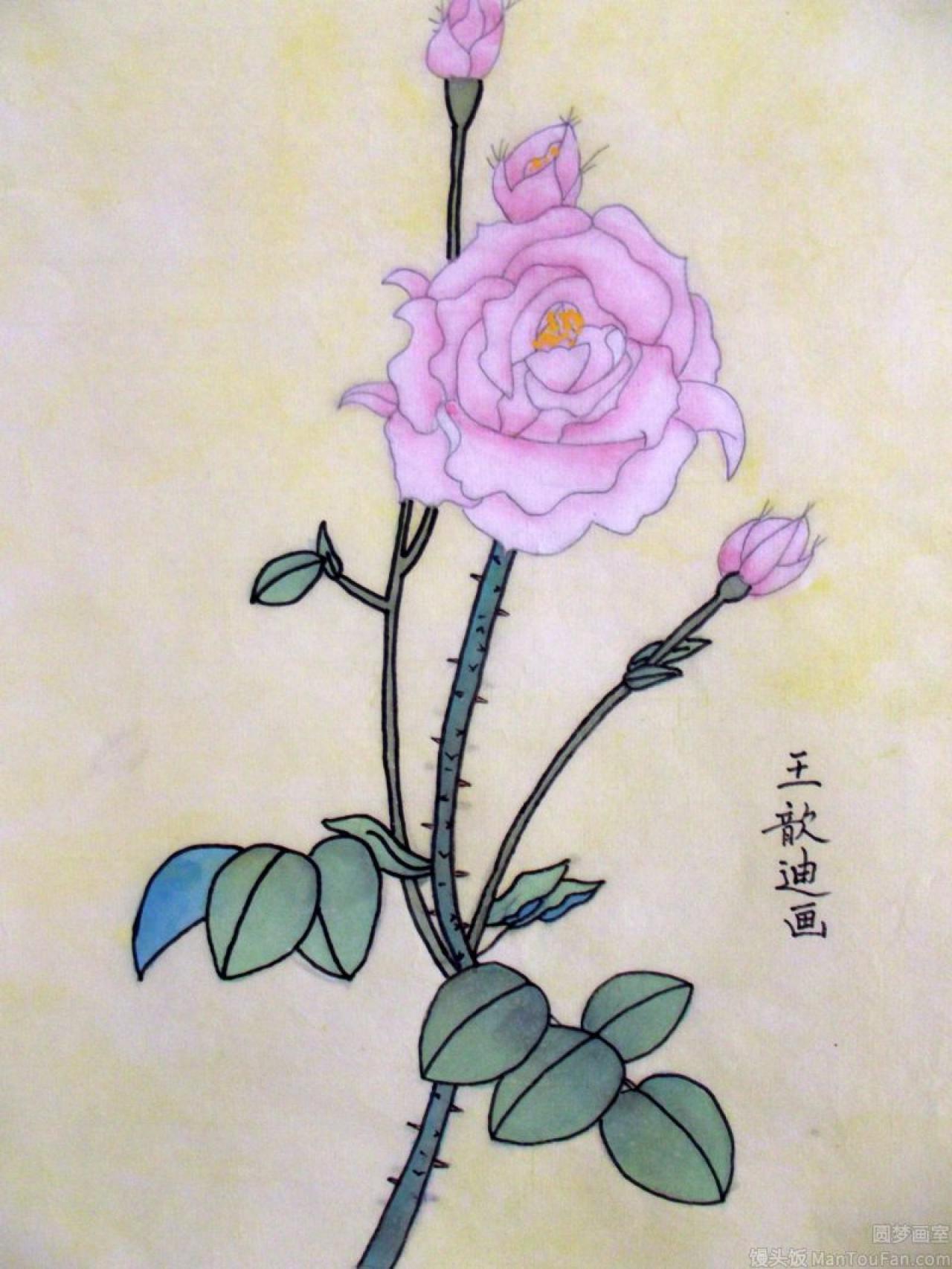 荷花 工笔花鸟 王歆迪画