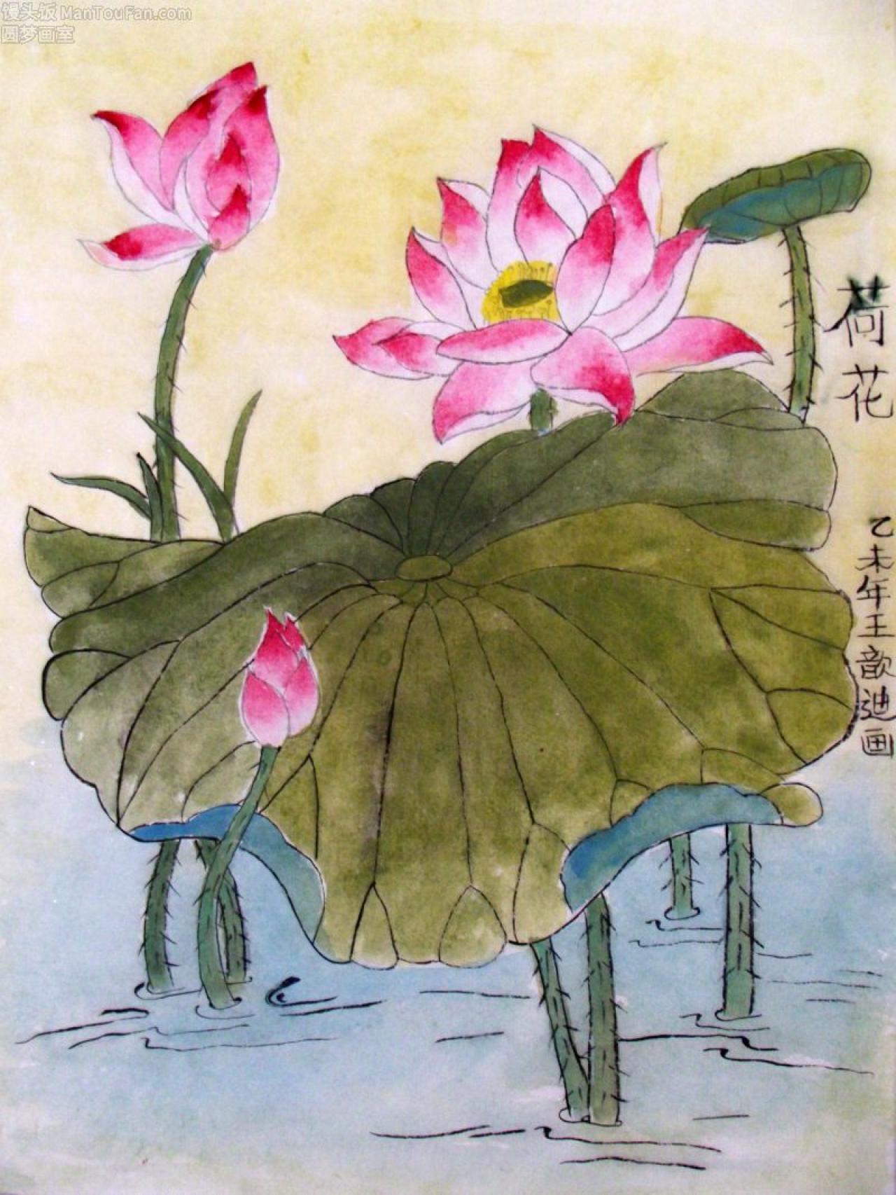 荷花 工笔花鸟 王歆迪画