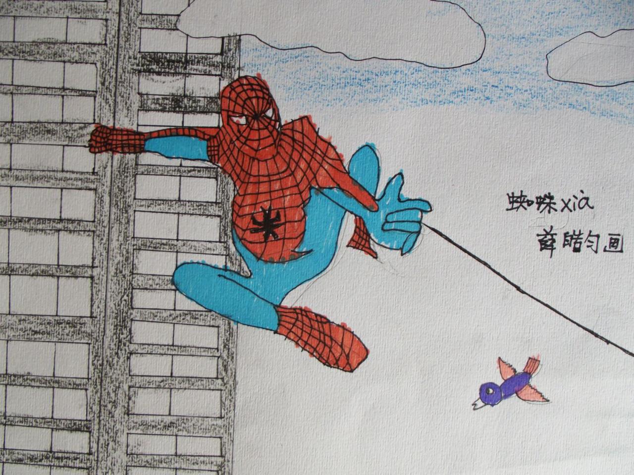 蜘蛛侠 薛皓匀画