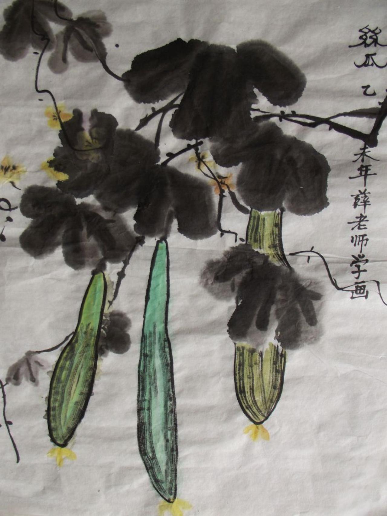 丝瓜 薛党星老师画