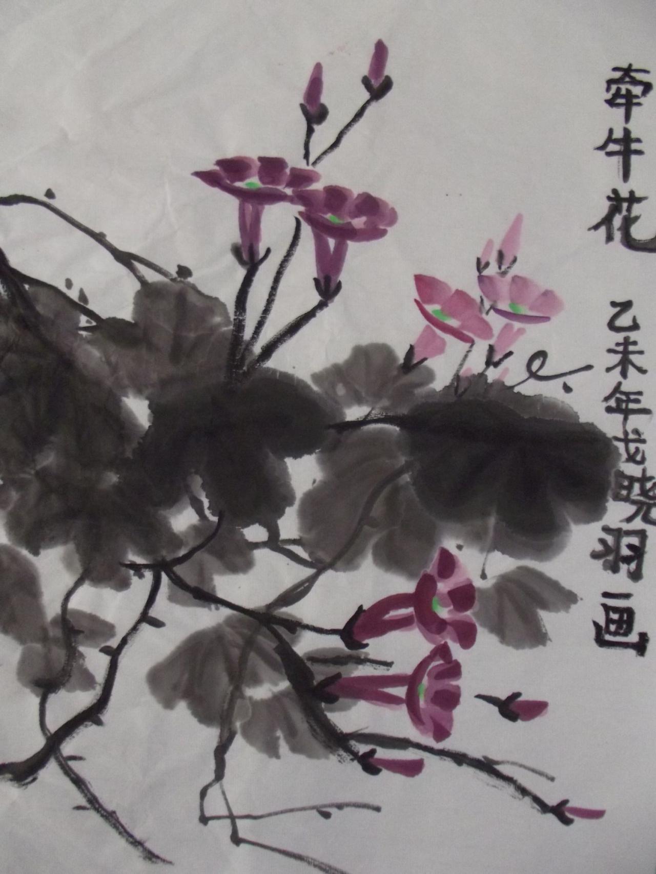 国画 牵牛花 戈晓羽画