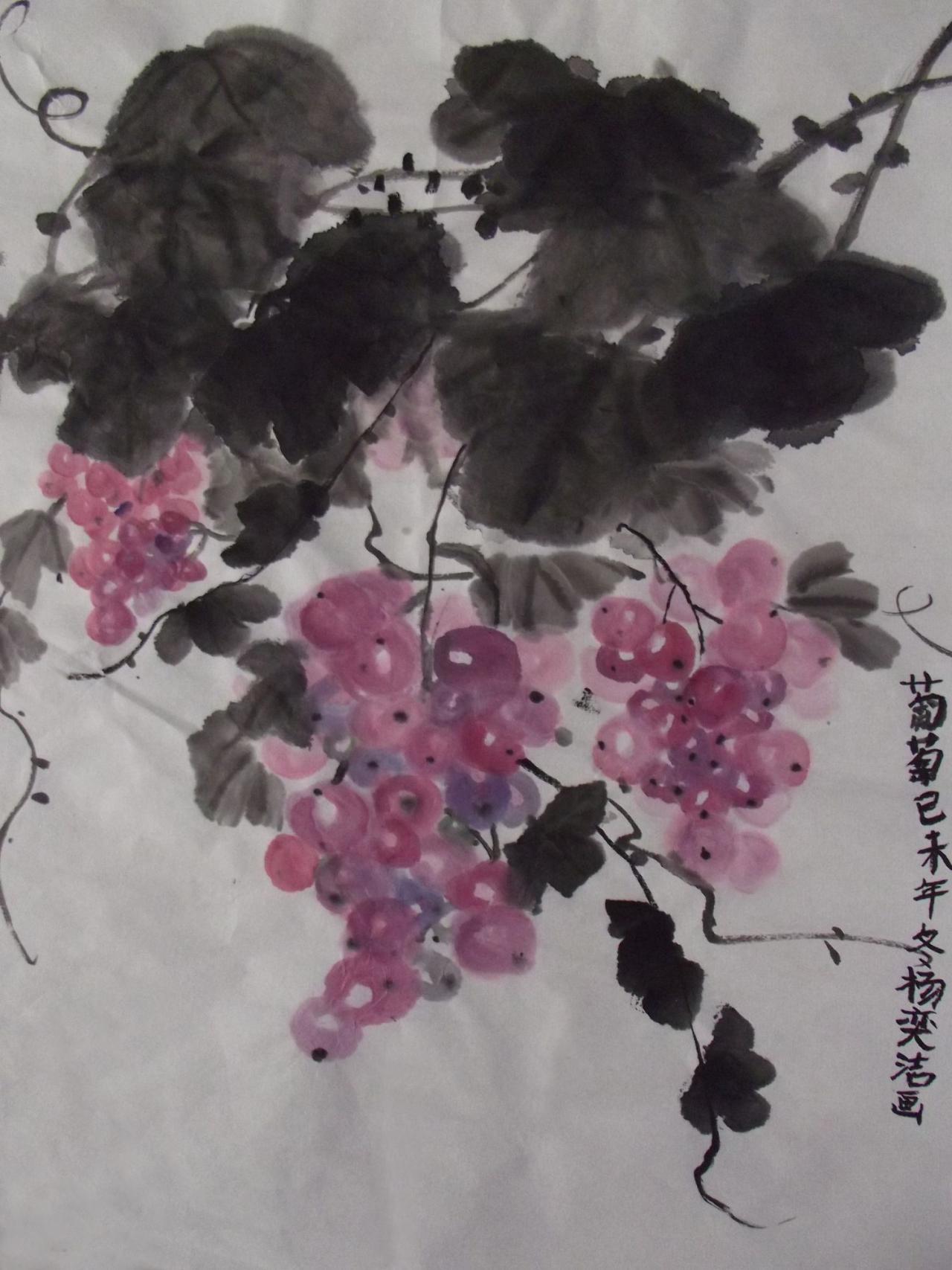 国画 葡萄 杨奕洁画