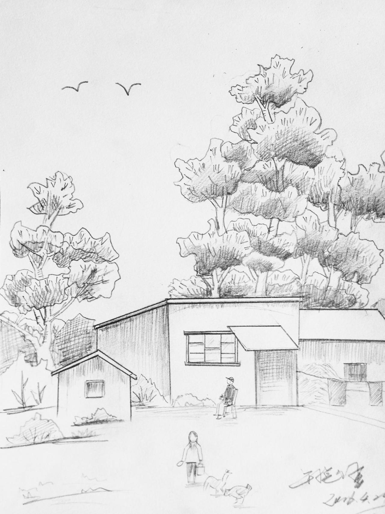 农家院落 牛悦佳画