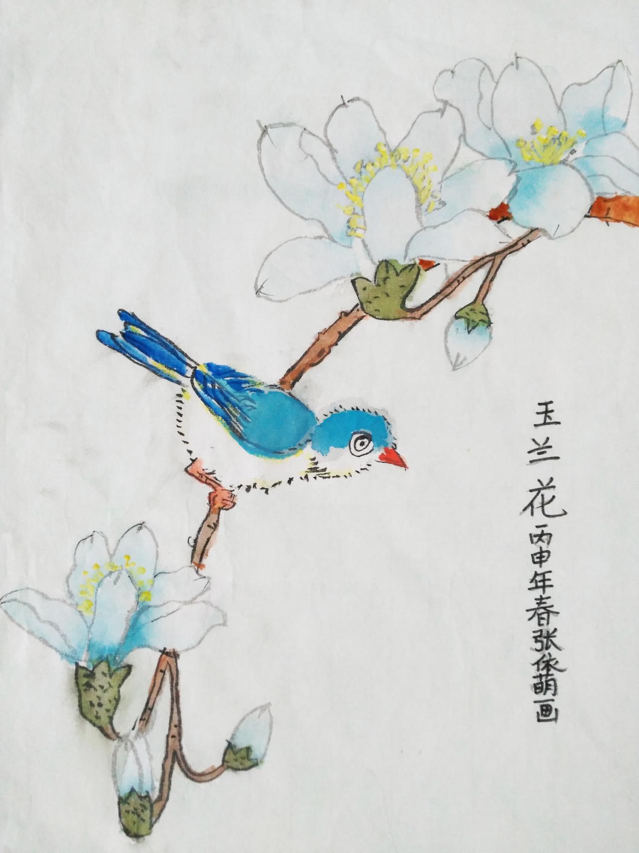 玉兰花 张依萌画