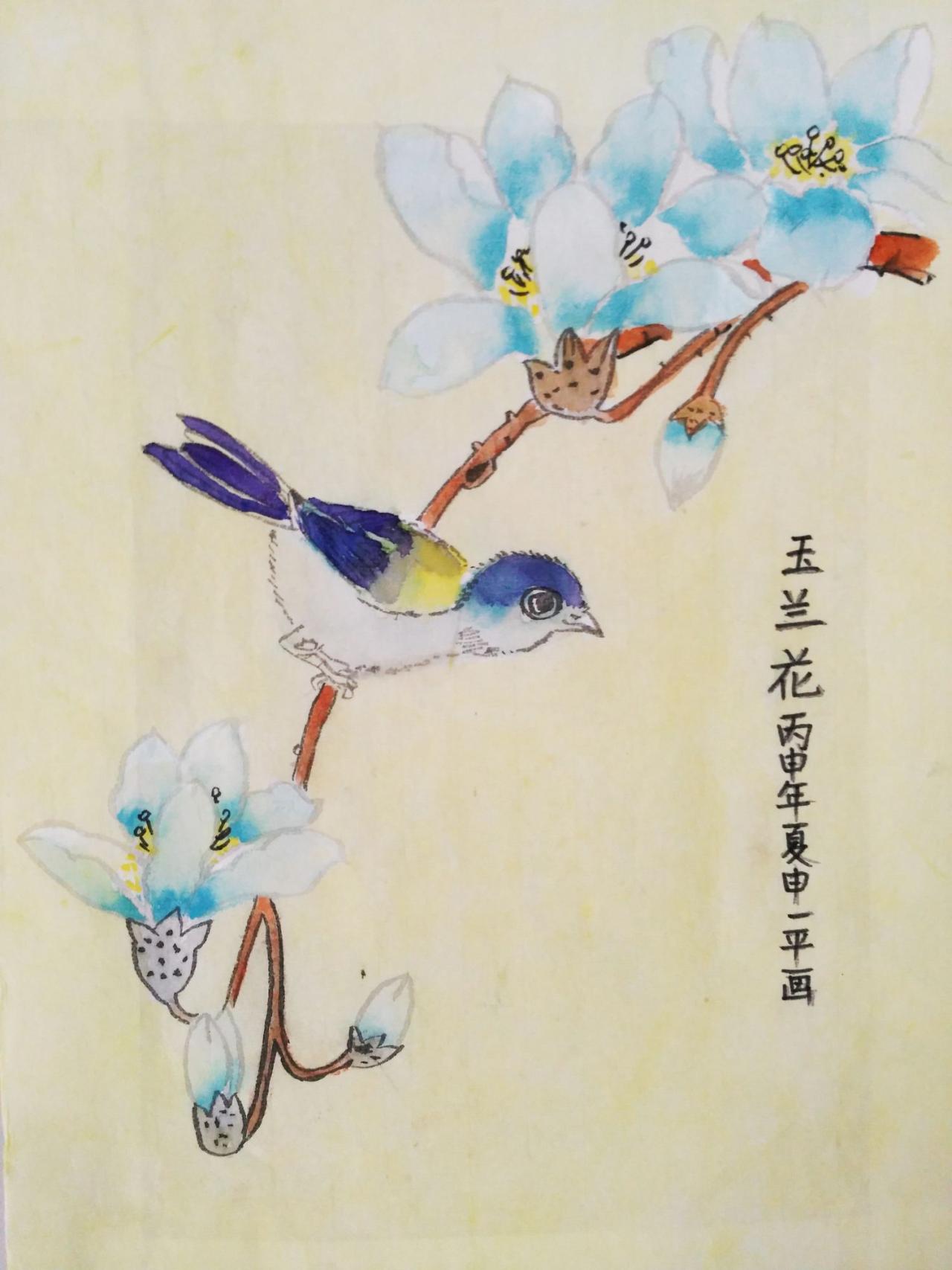 玉兰花 申一平画