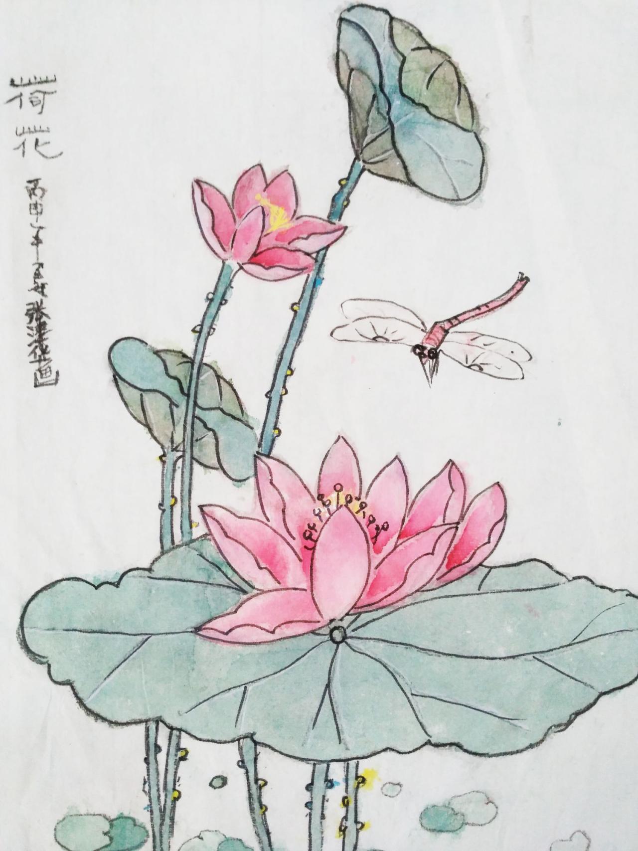 荷花小品 张津华画