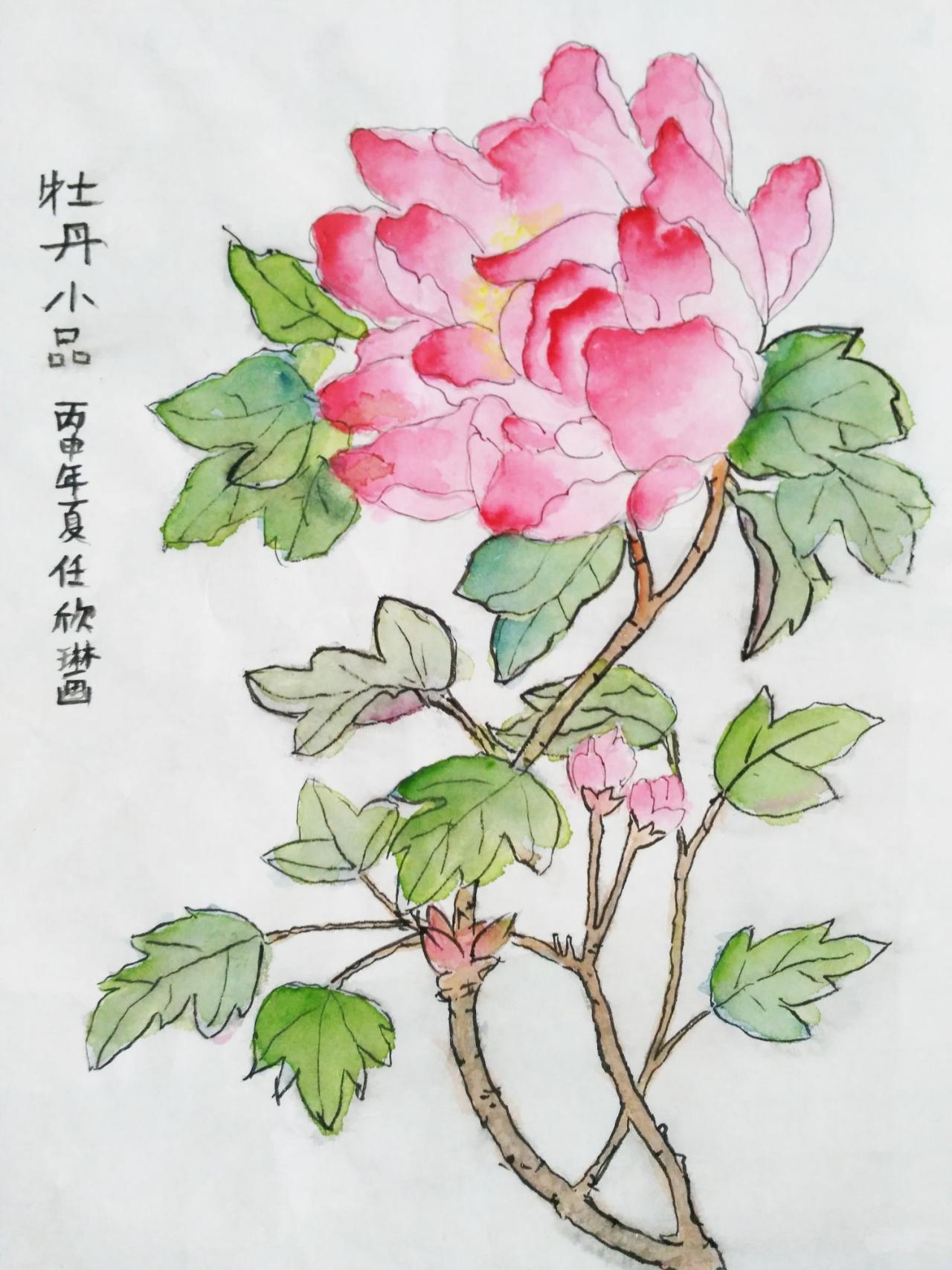 牡丹小品 任欣琳画