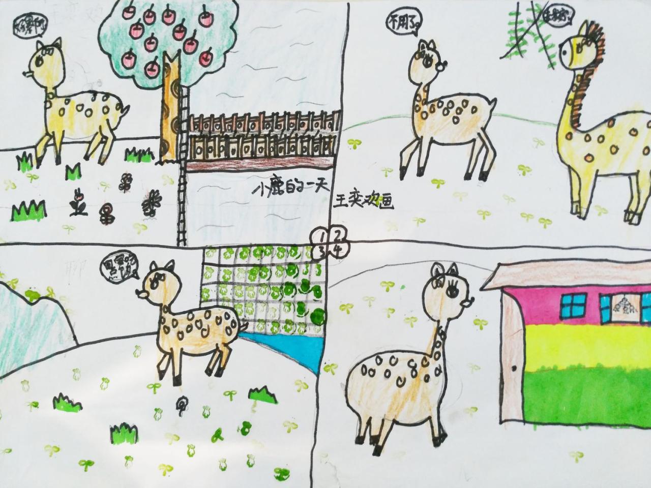 小鹿的一天 王奕欢画