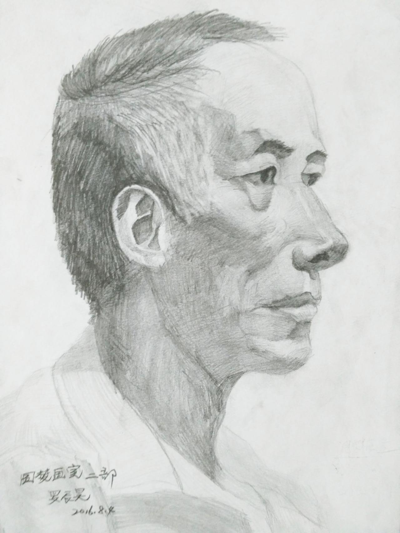 老人侧脸 人物头像 罗辰昊画