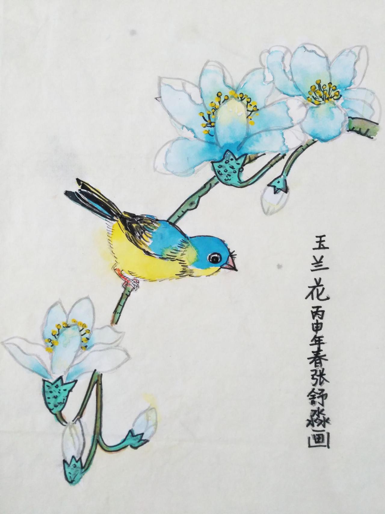 玉兰花 张舒淼画