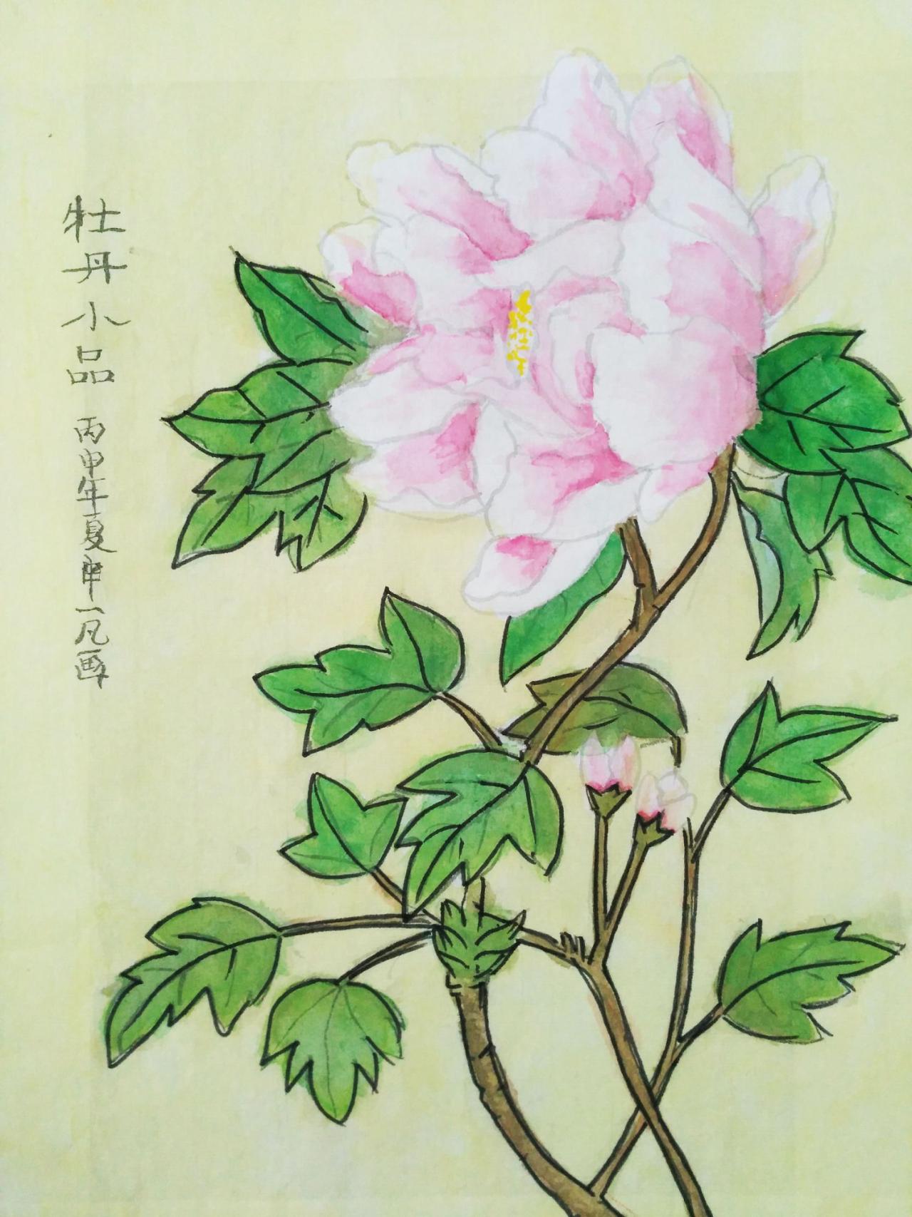 牡丹小品 申一凡画