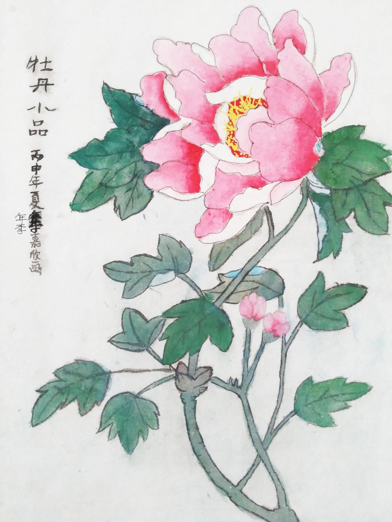 牡丹小品 李嘉欣画