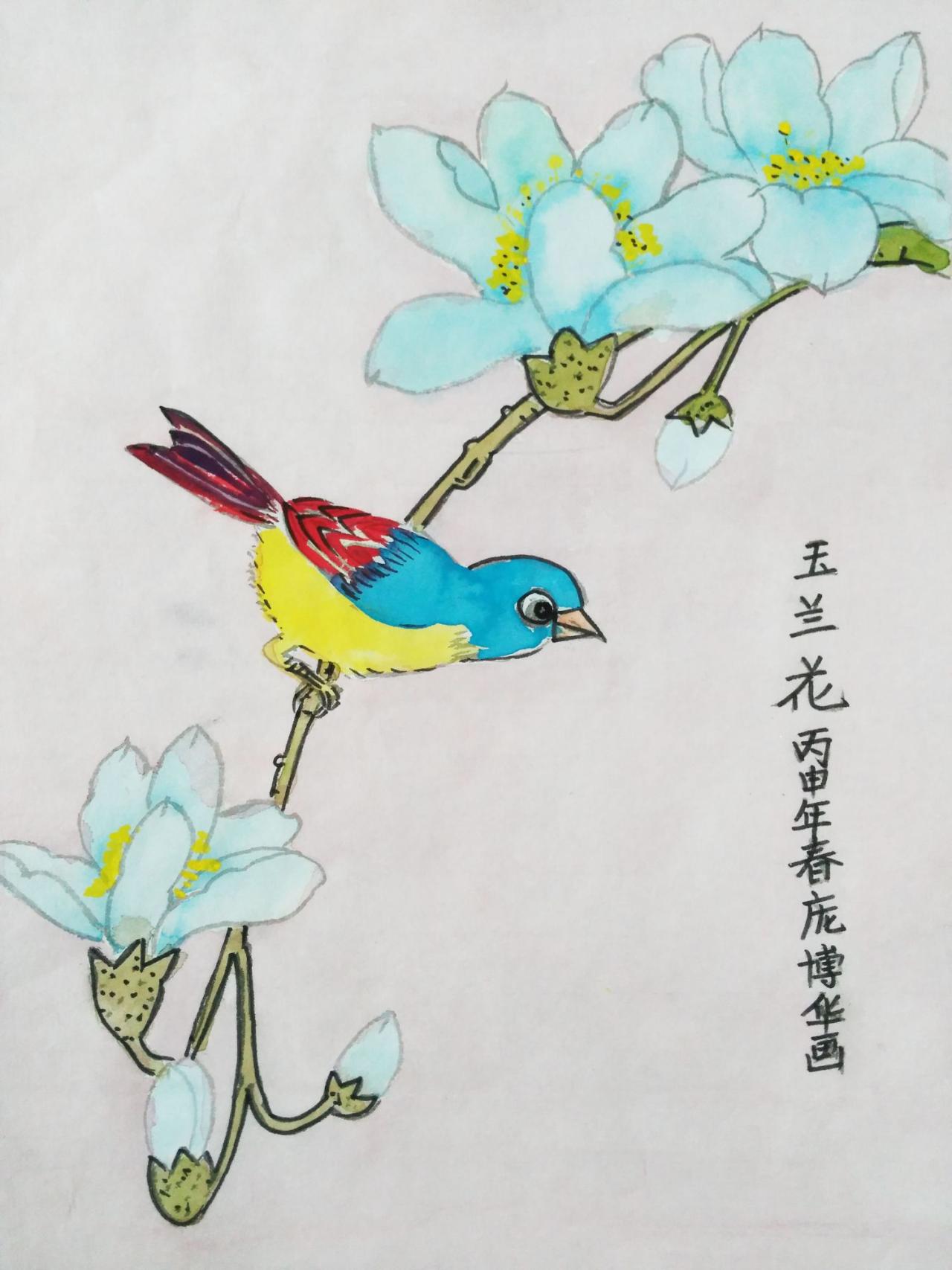 玉兰花 庞博华画