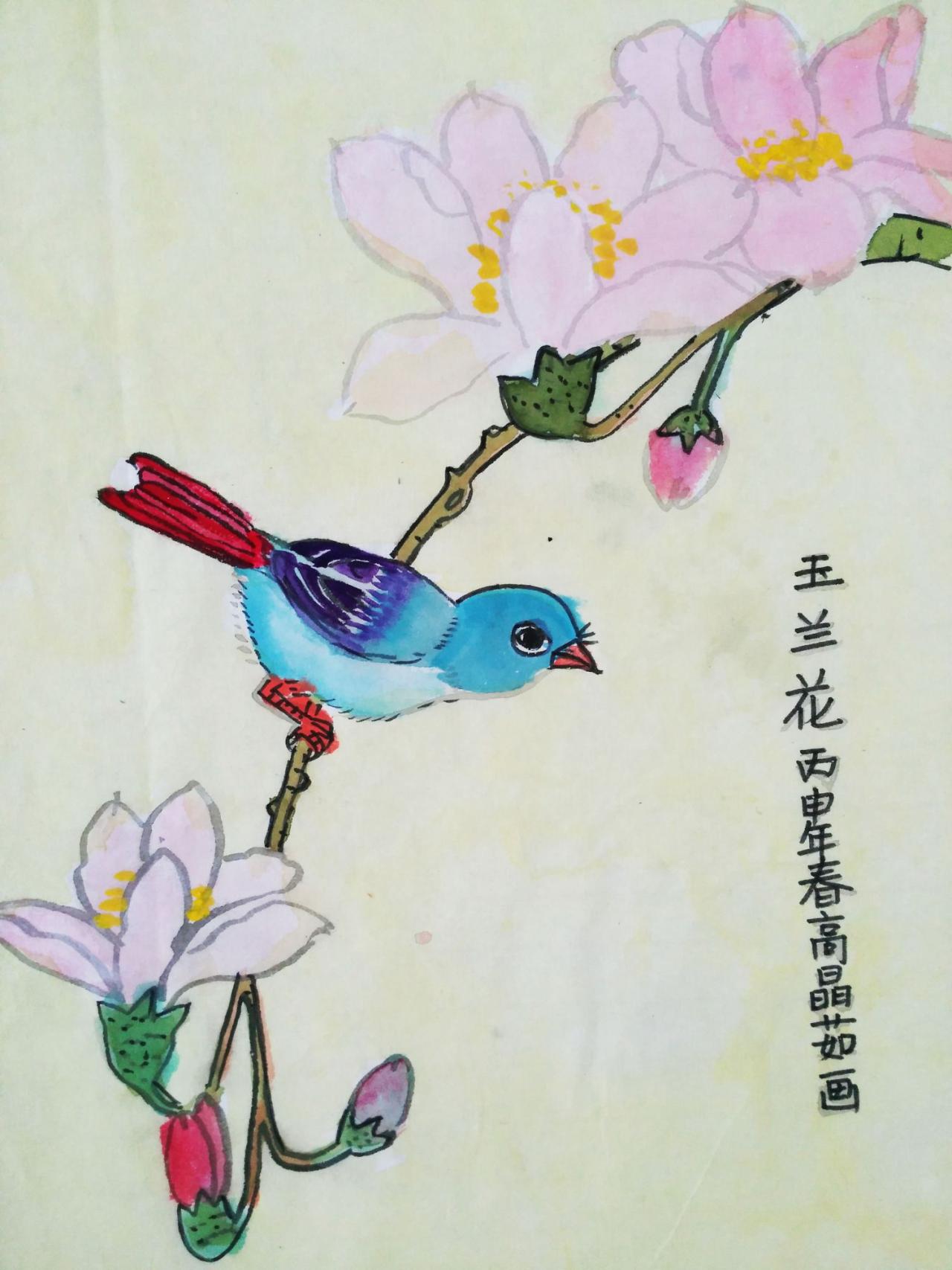 玉兰花 高晶茹画