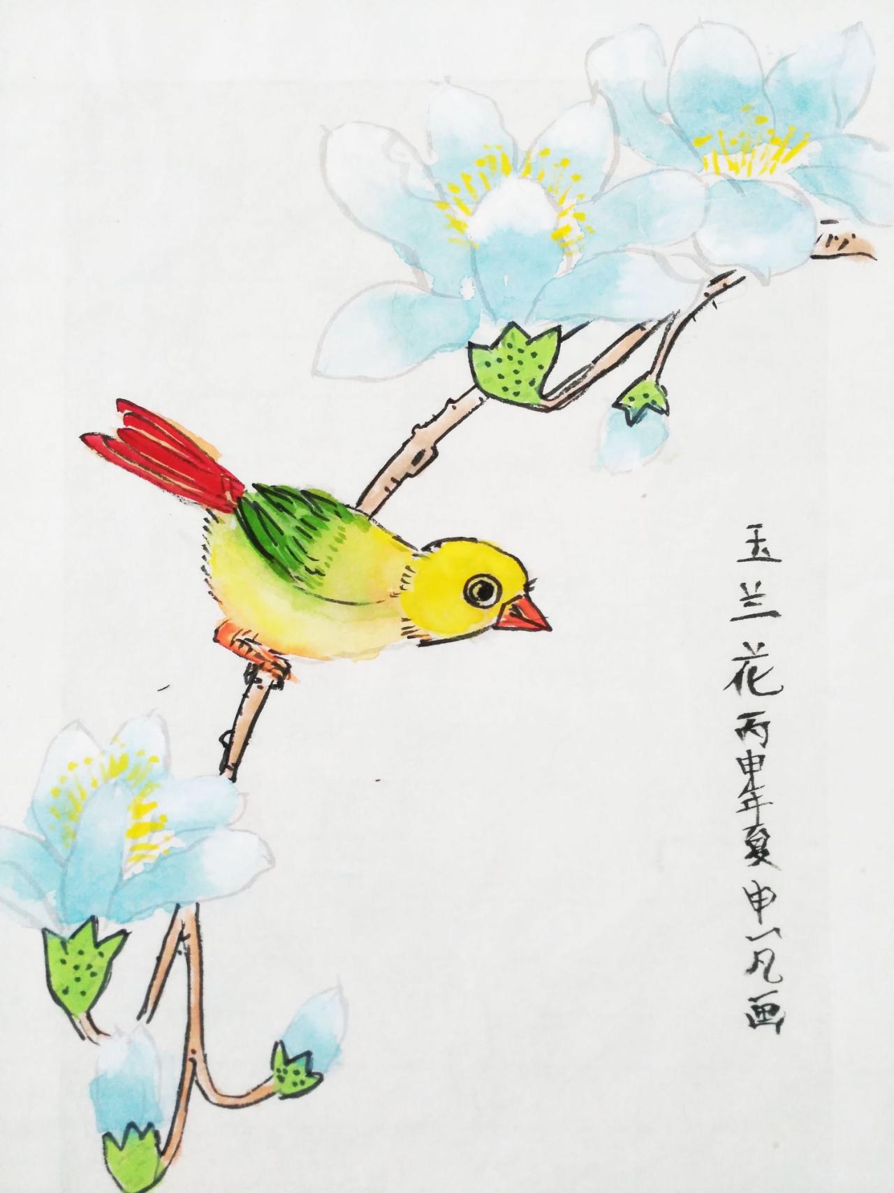 玉兰花 申一凡画