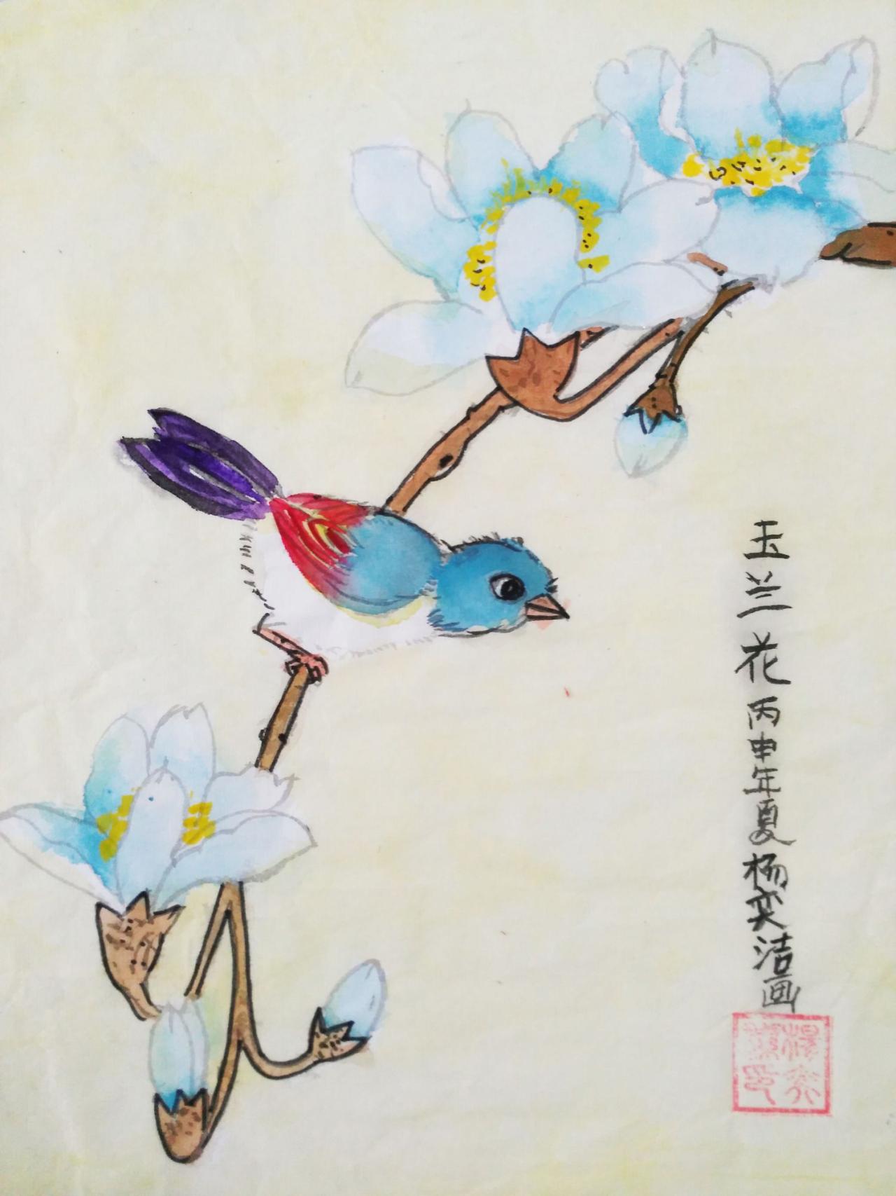 玉兰花 杨奕洁画