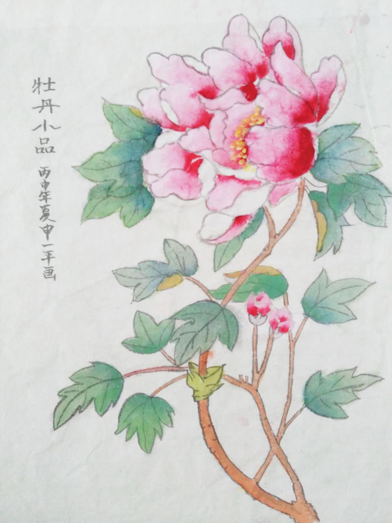 牡丹小品 申一平画