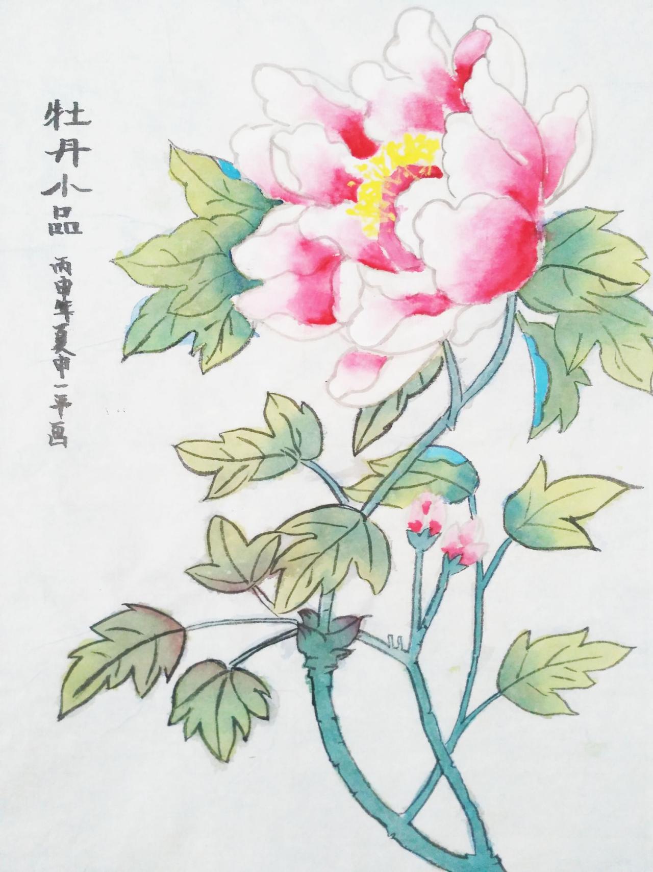 牡丹小品 申一平画