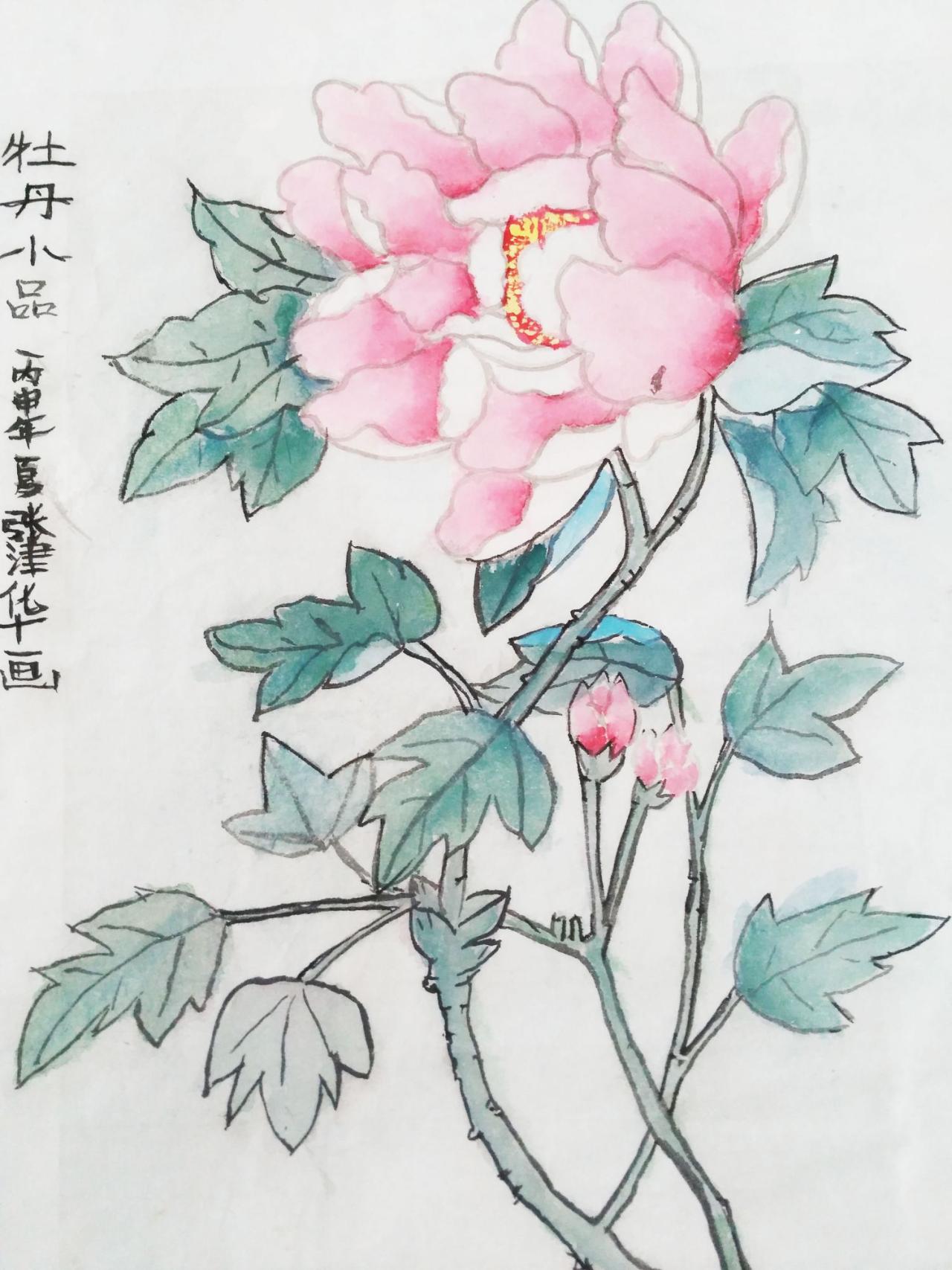 牡丹小品 张津华画