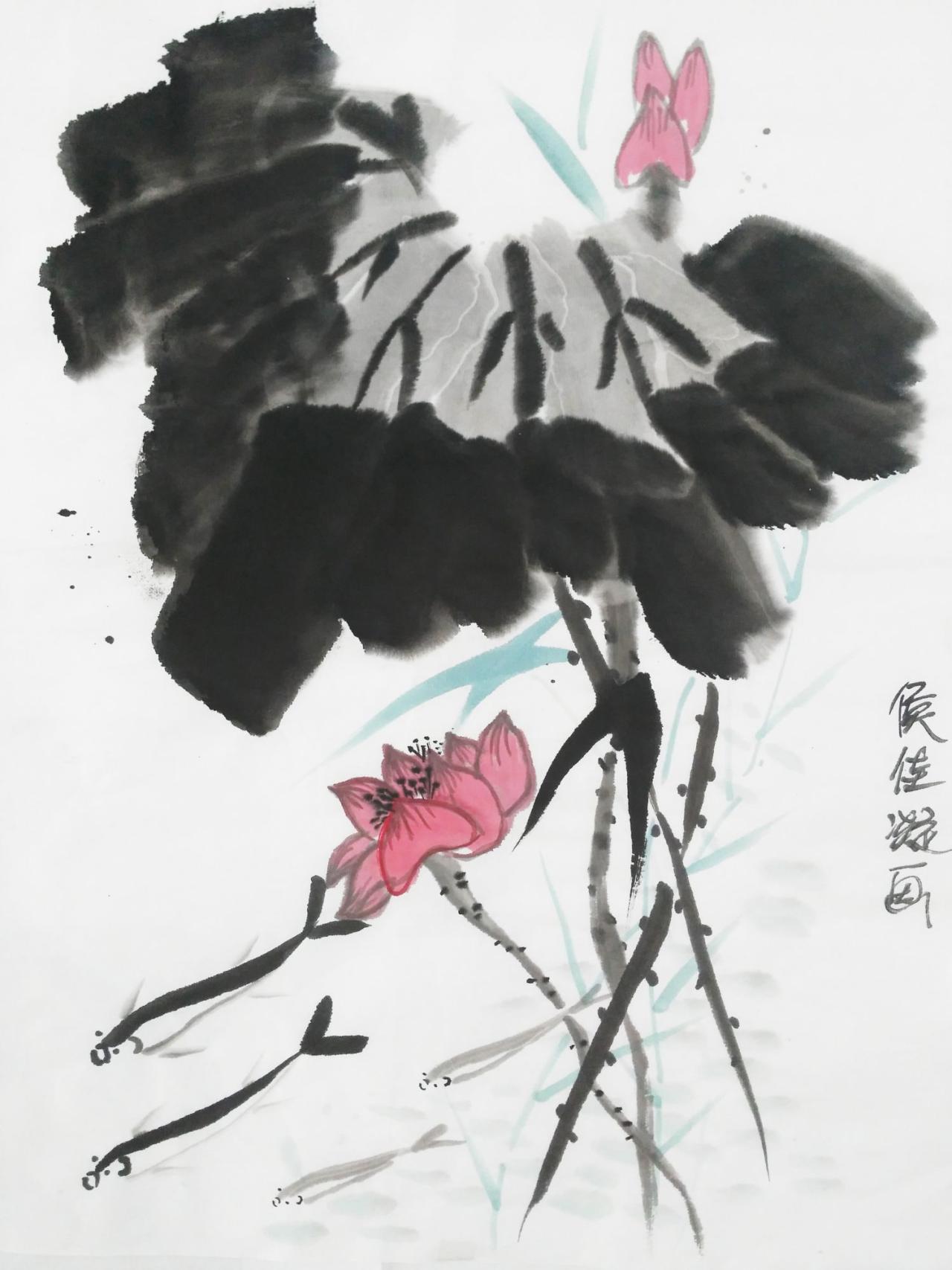 国画 荷花 侯佳凝画