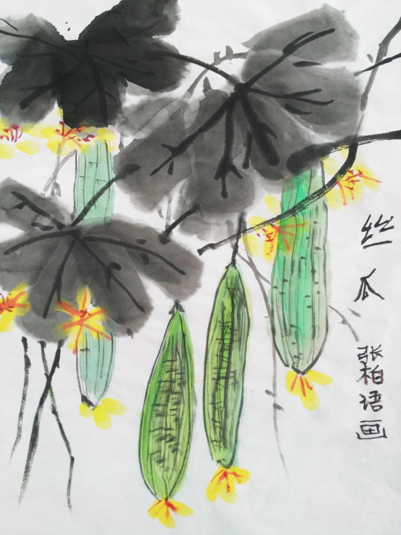 国画 丝瓜 张柏语画