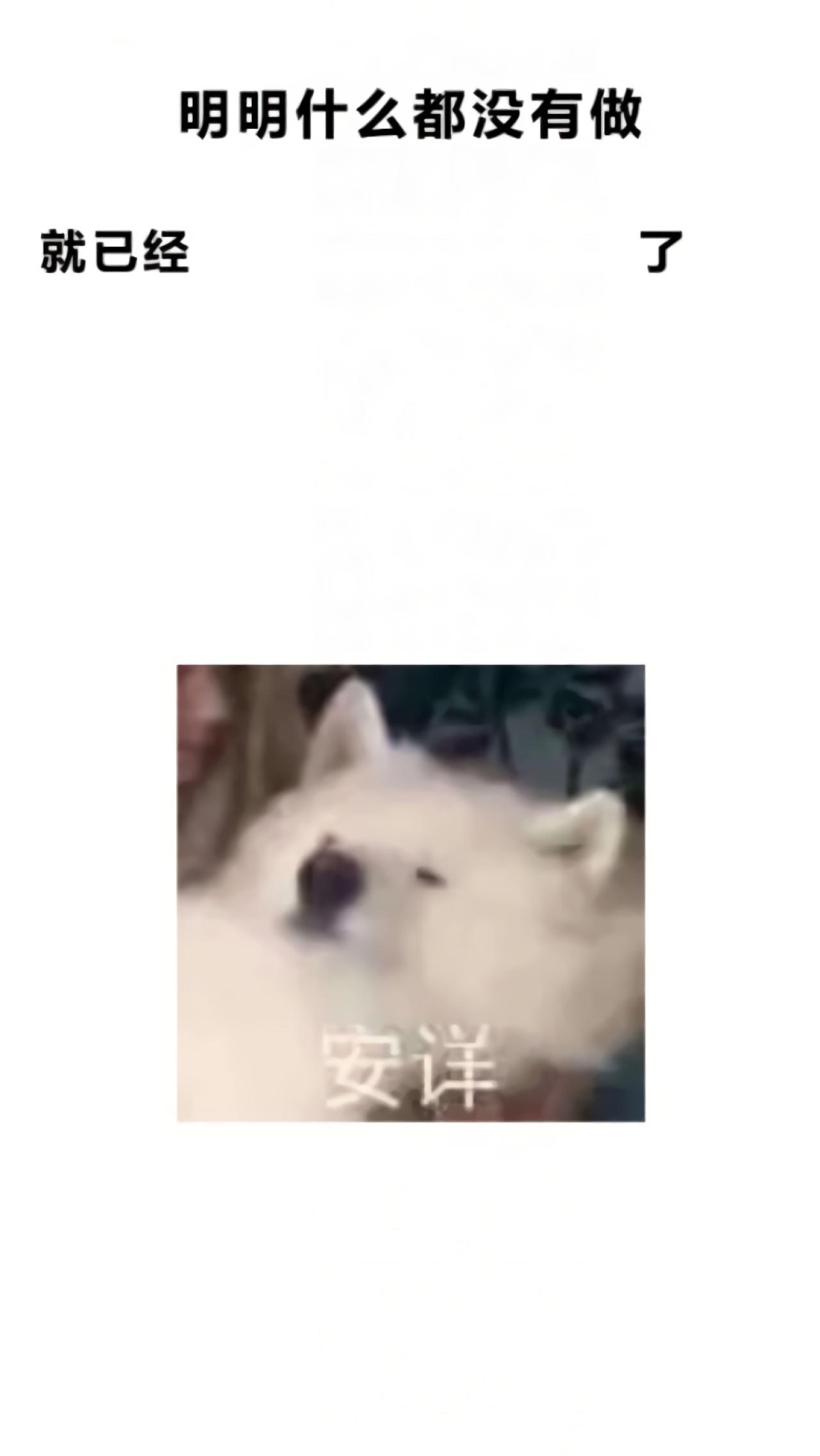 明明什么都没有做就已经了之安详的狐狸手机壁纸