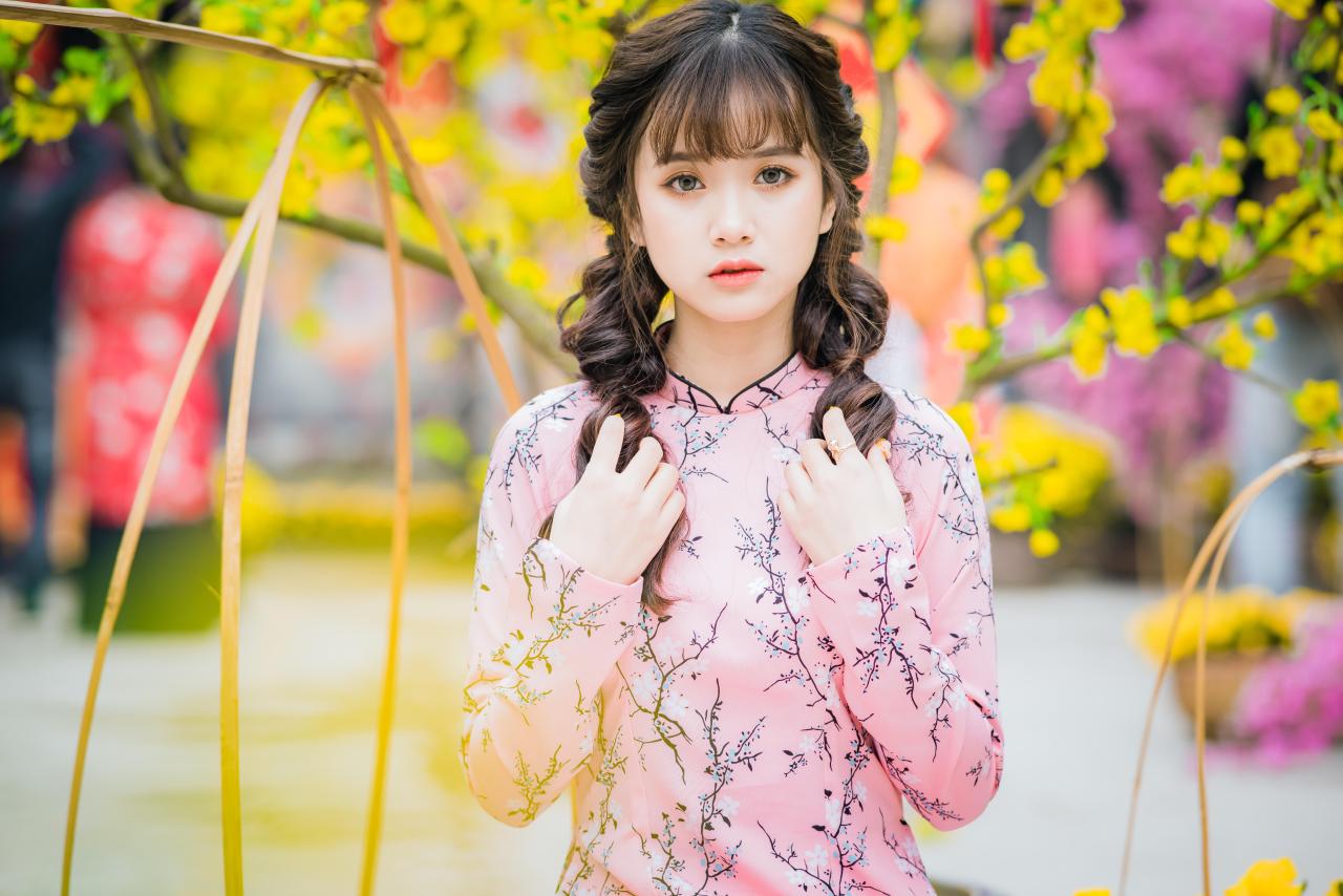 棕色双马尾卷发，齐刘海儿，穿着粉色旗袍的越南少女 花篮 坐姿 上半身照 正面照 双手轻抚马尾 放在胸前 棕色双马尾卷发，齐刘海儿，穿着粉色旗袍的越南少女 坐姿 上半身照 正面照 横幅 左手轻抚额头 花篮 腊梅 黄梅