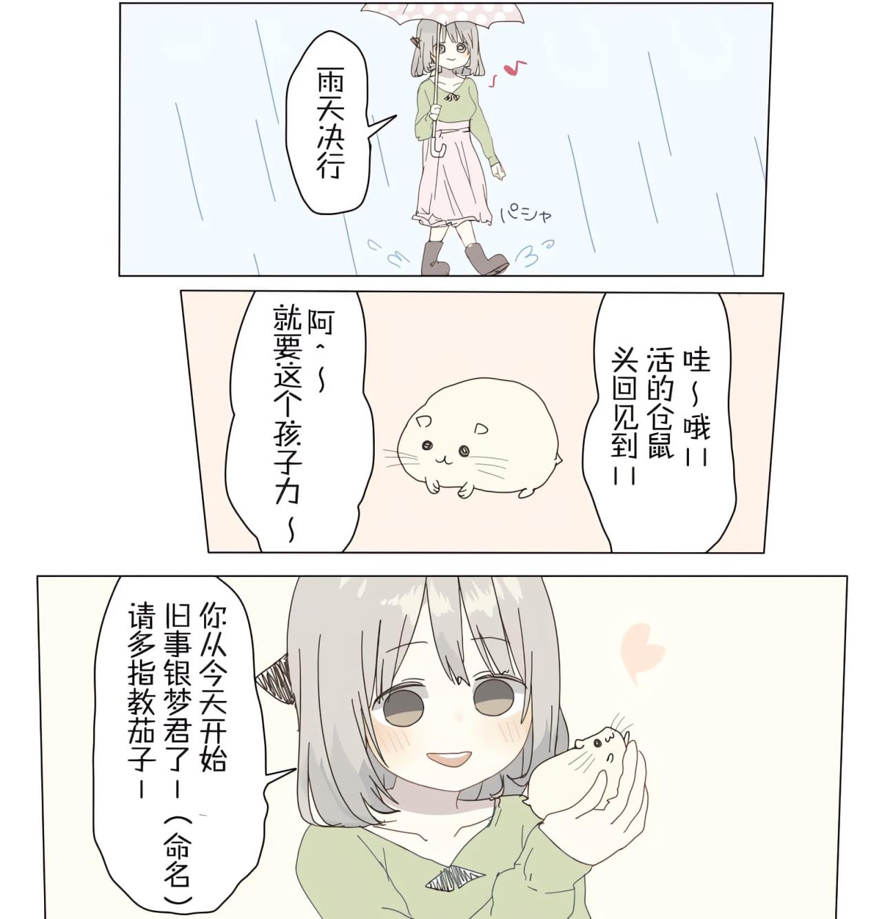 下雨了，女孩还是撑着伞来到宠物中心，领养了一只仓鼠，并给它取名叫银梦君