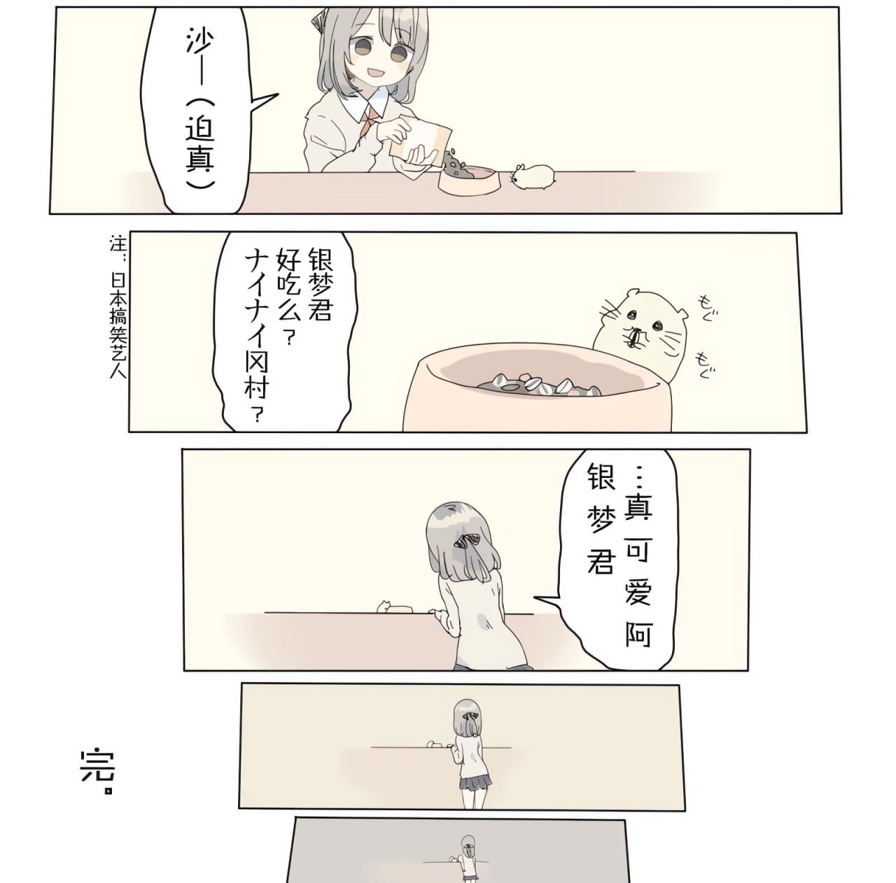 女孩回到家喂仓鼠，仓鼠银梦君真可爱啊